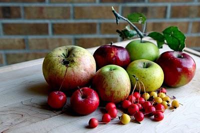 äpple sorter för nordväst