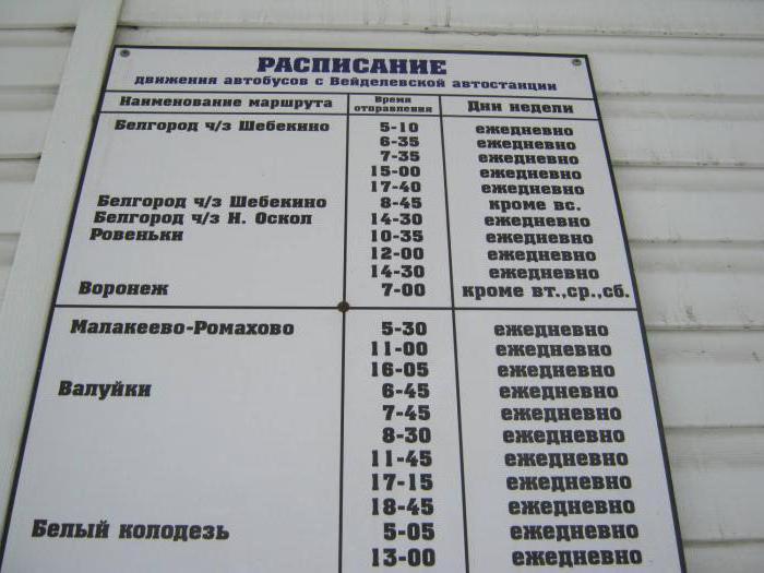 Pilgrim Center Belgorod: funktioner