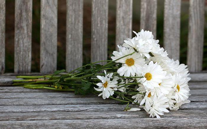 Drömtolkning: Blommor ges. Betydelsen och tolkningen av drömmar