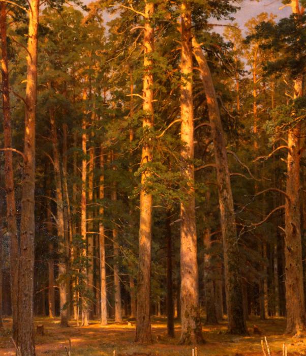 shishkin ship grove beskrivning av målningen