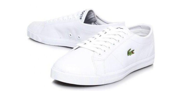 sneakers lacoste