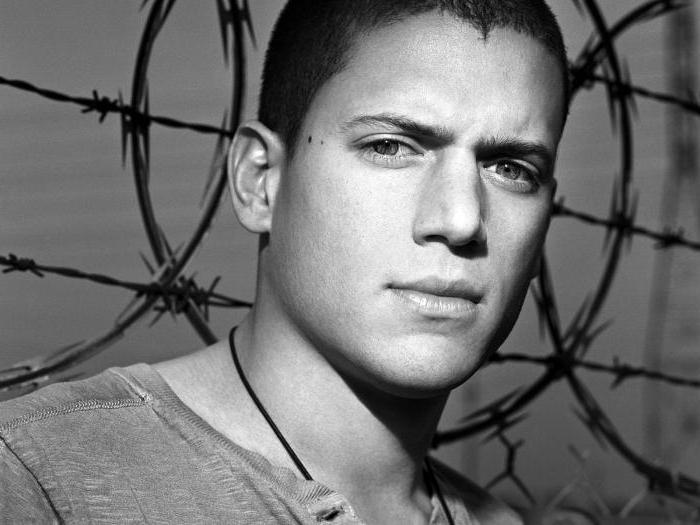 Biografi av Wentworth Miller - filmografi, personligt liv och intressanta fakta