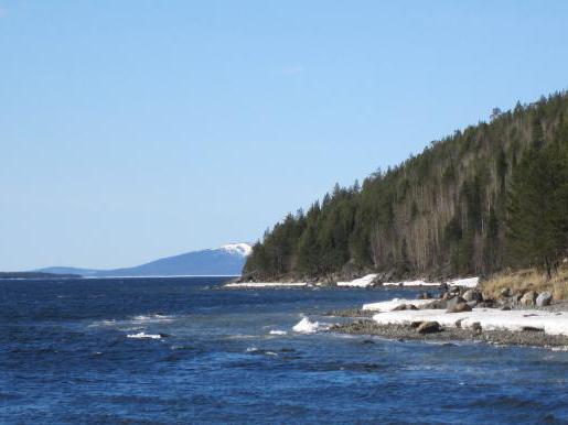 Naturstudier Kandalaksha Reserve