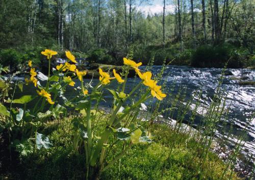 Kandalaksha State Nature Reserve