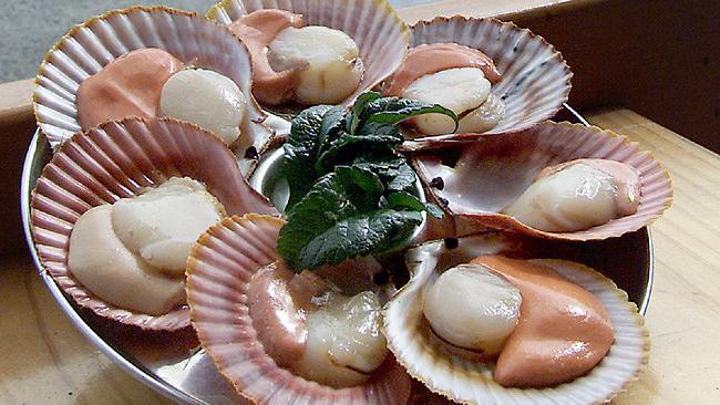 Clam kammussling.