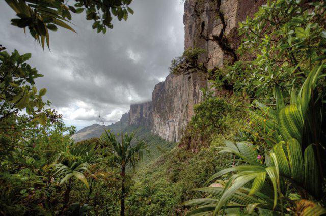 Guyana Plateau: beskrivning, läge, klimat