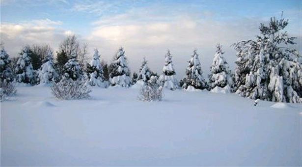 klimat av tundra och skogs-tundra