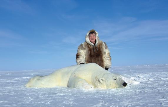 Varför minskar antalet isbjörnar i Arktis?