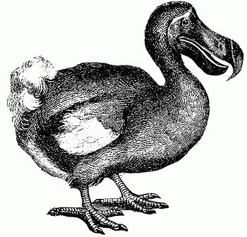 Bird dodo: en historia av utrotning