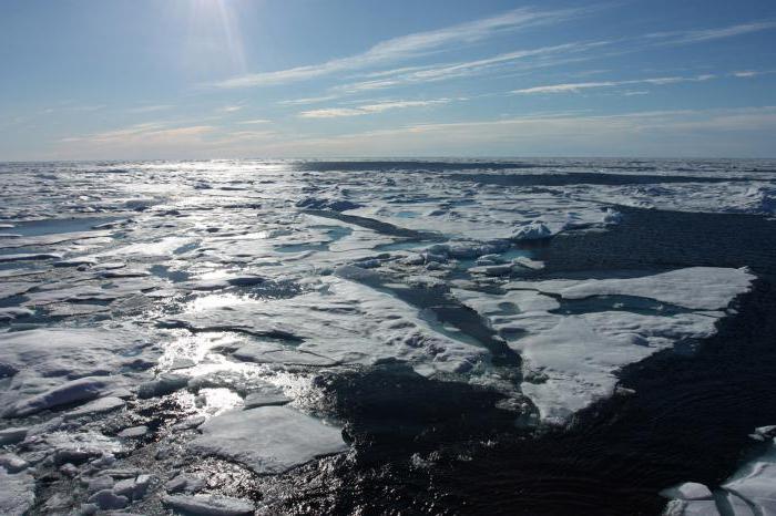 Klimat på kontinenten Eurasien. Vad är Eurasiens klimatzoner?