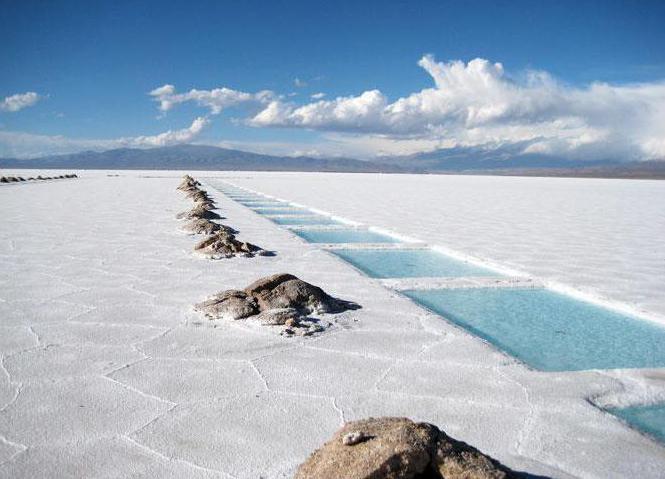 Beskrivning av Argentina: Utarbeta en plan. Landbeskrivning: Argentina (Betyg 7, Geografi)