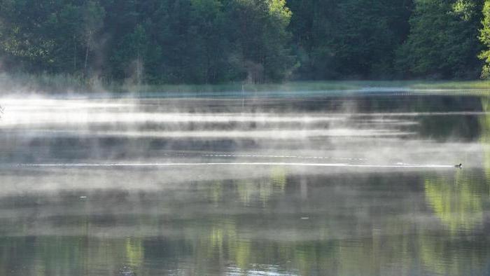 Vad bestämmer vätskans avdunstningshastighet? Faktorer som påverkar denna process