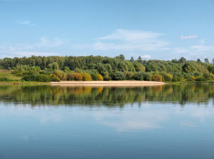 Oka River. Vägar och djur i Volga-bassängen