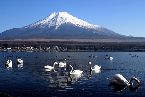 Japan Fuji