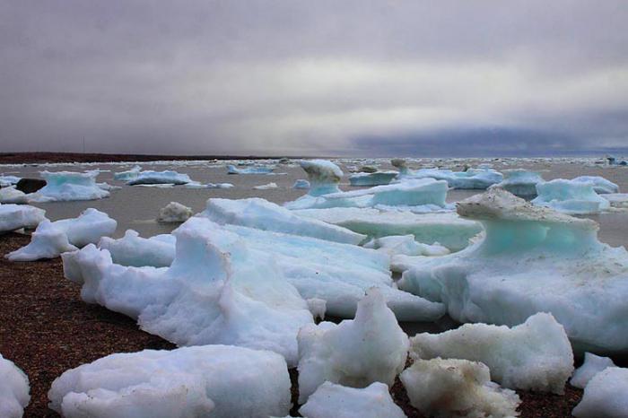 Hudson Bay tvättas vid stranden