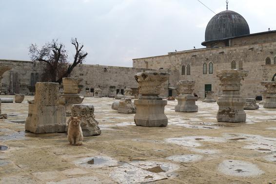 Temple Mount - helgedomen för tre religioner