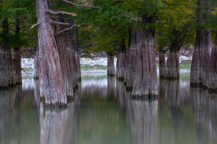 cypress sukko lake hur man kommer dit