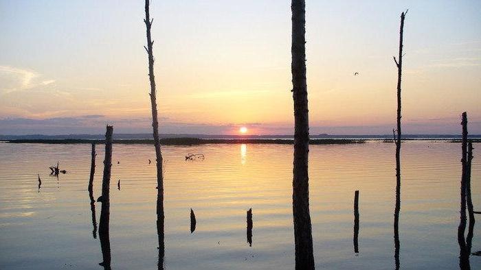 Lake Tishki - fiskecentrum