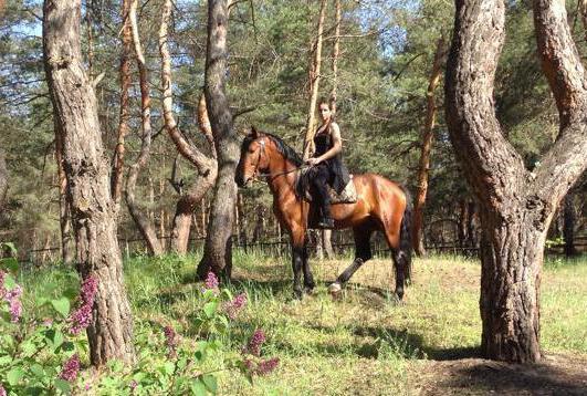 obovchka camping Dnepropetrovsk