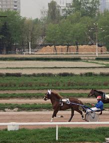 Moskva Hippodrome tidtabell 