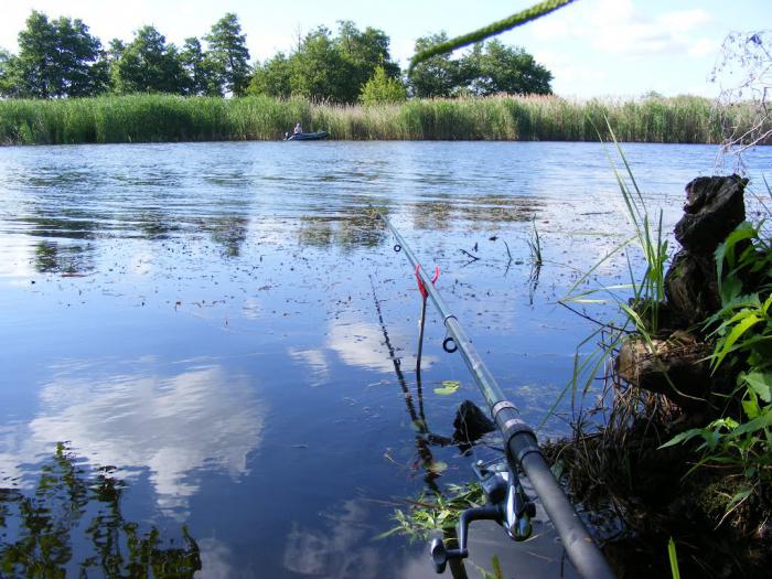 Fiske i Dnipropetrovskregionen: var ligger fisken?