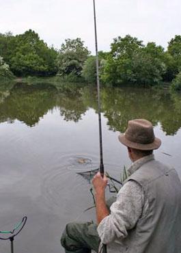 Vårfiske på crucian karp