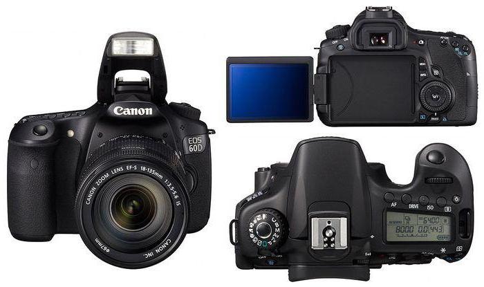 Spegel Canon EOS 60D kamera: specifikationer och recensioner