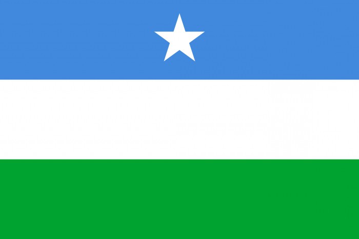 Flagga av Somalia: historia och beskrivning
