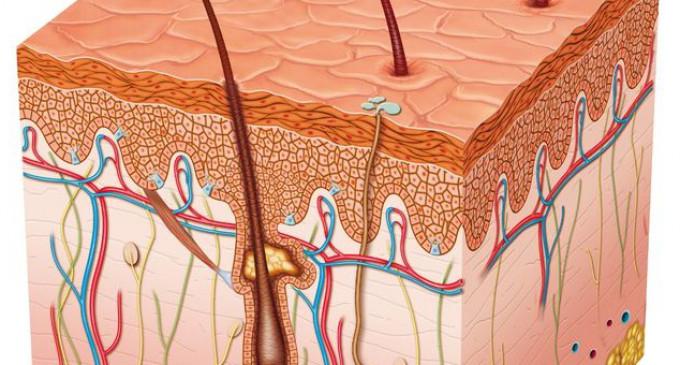 streptoderma behandling hemma 